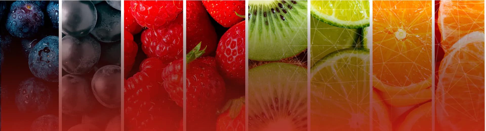Natural fruit and botanical sources of food flavour molecules